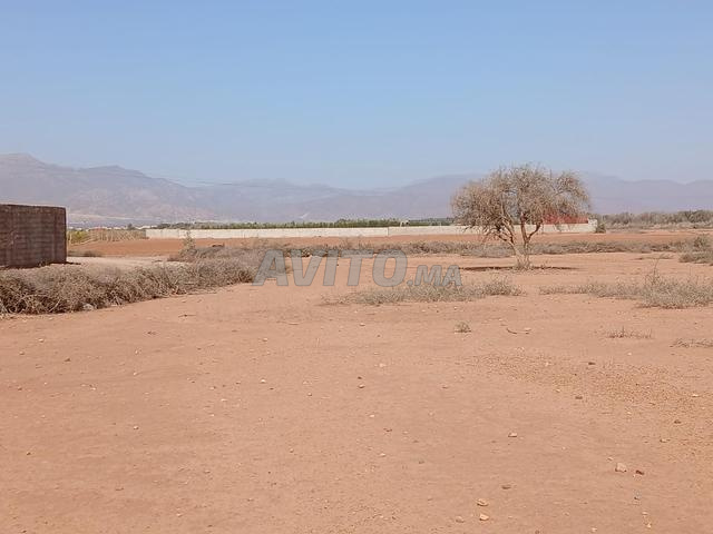 Terrain de 5000 m région d'Agadir Maroc - 2