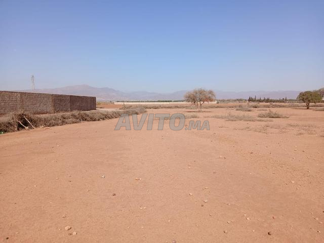 Terrain de 5000 m région d'Agadir Maroc