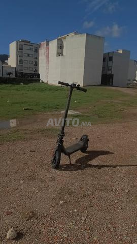 شاومي جديدة