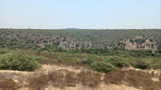 بقعة فيلا إطلالة بانورامية على واد إكم - 2