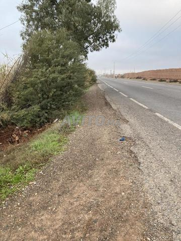 أرض فلاحية بمساحة 2.65 هكتار في مراكش