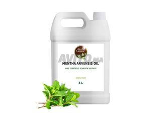 زيت النعناع البري الأساسي (Huile essentielle de Menthe arvensis)