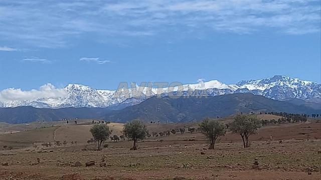 Terrain loti titré 202 m² à Tahnaoute (2 façades)