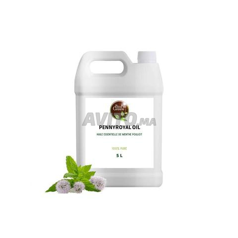 زيت النعناع البري الأساسي النعناع البري