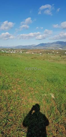 أرض للبيع جماعة السوق القديم تطوان