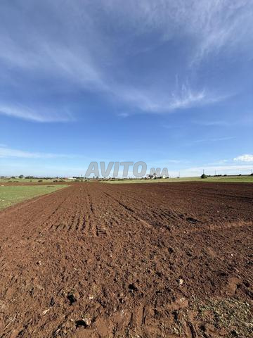 Hectare Titré offre exceptionnelle