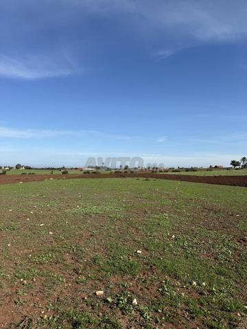 Hectare Titré offre exceptionnelle