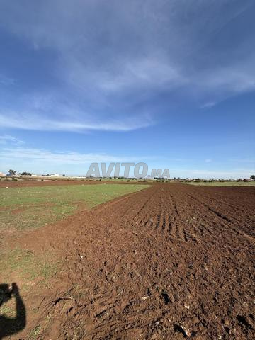 Hectare Titré offre exceptionnelle