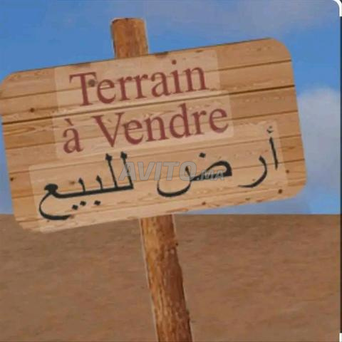 اراضي للبيع نواحي الصويرة على البحر - 2