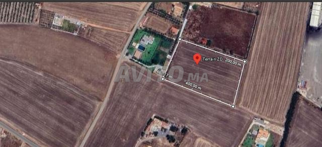 Terrain 12 500 m² à Berrechid