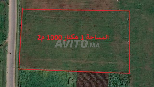 بيع أراض ومزارع في اثنين اشتوكة - 2