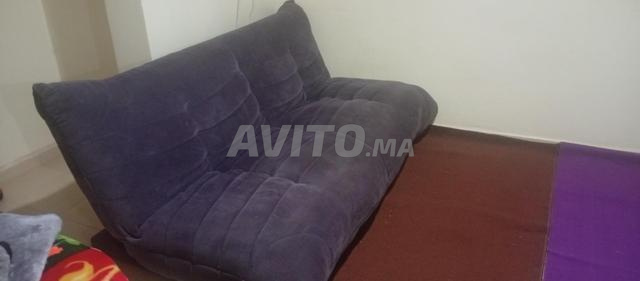 كنبي كتيا وناموسية