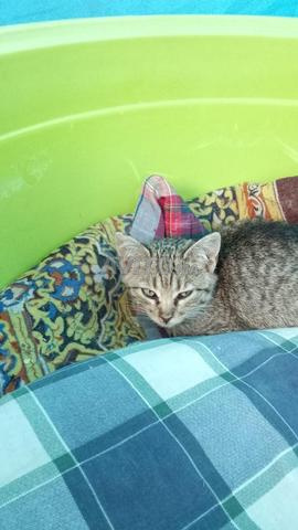 Ceux qui veulent chatter, bienvenue