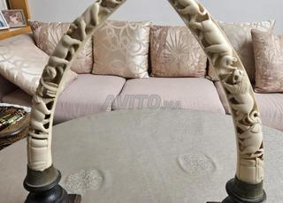 2 أنياب فيل أفريقية