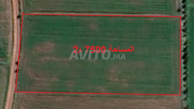 بيع أراض ومزارع في سيدي رحال موثقة - 2