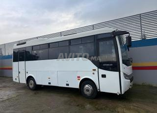 حافلة سياحية للنقل