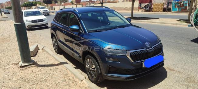 Skoda karoq   2* main 8 cheveux.