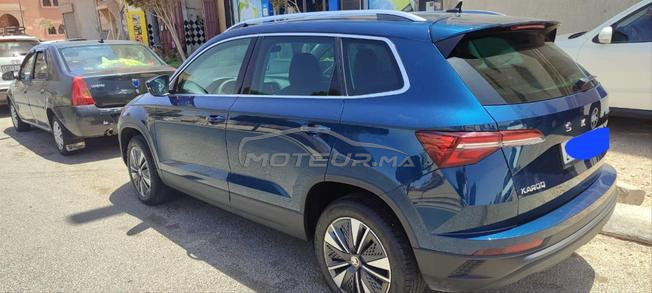Skoda karoq   2* main 8 cheveux.