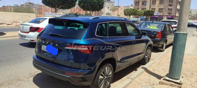 Skoda karoq   2* main 8 cheveux.