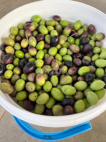 Huile d'olive extra vierge QUALITÉ EXCEPTIONNELLE