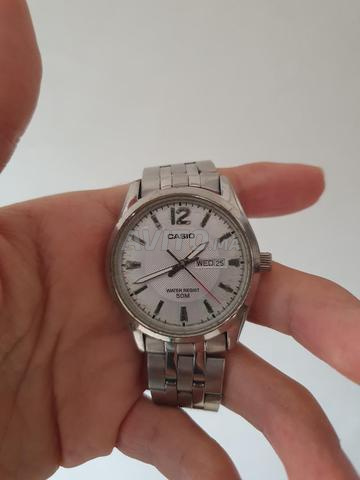 كاسيو الأصلية