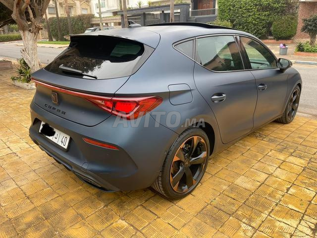 سيات ليون كوبرا 2024