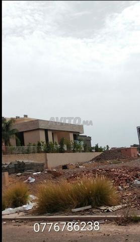 Terrain 300 m² avenue Mohammed VI