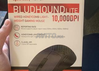 redragen mose gamming original