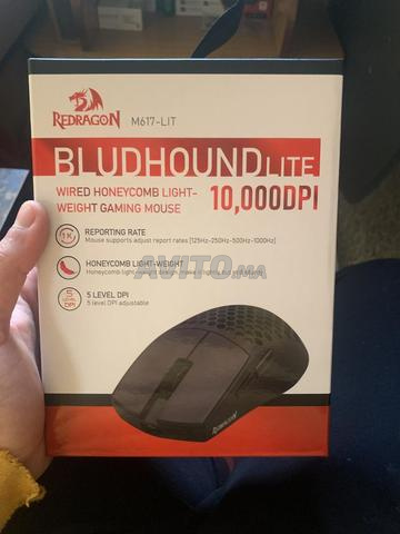 redragen mose gamming original