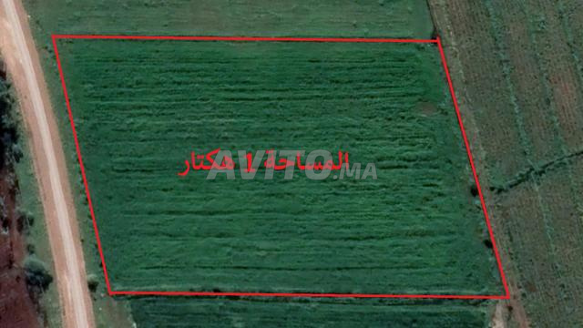 أراضي محفظة بسيدي رحال تطل على البحر - 2