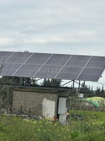 مزرعة للبيع سيدي علال البحراوي - 2