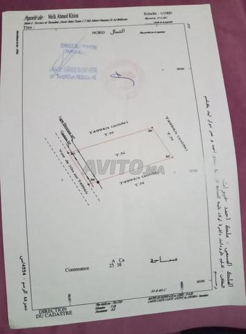 هوار أمزو - على طريق سيدي حماد وعمر