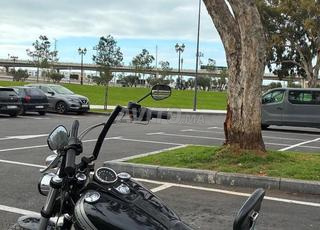 هارلي ديفيدسون فات بوب