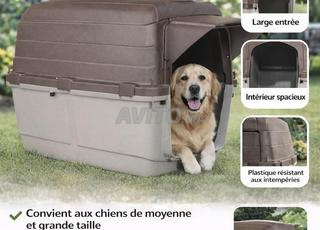 Niche pour chien