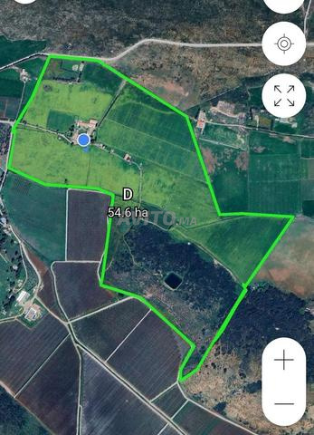 50 هكتار محفظة للبيع فيرمة مجهزة بالكامل