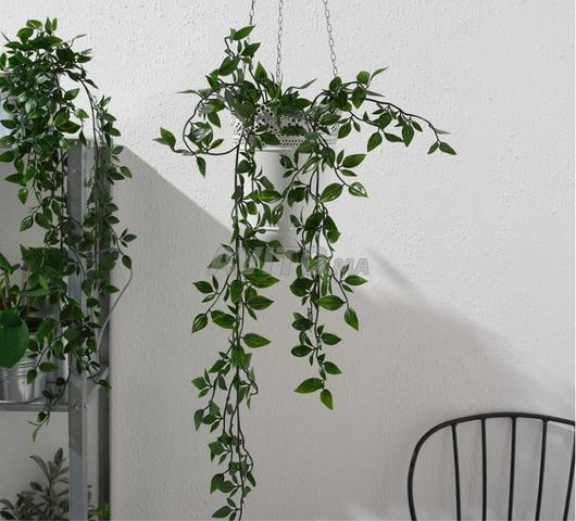 نبتة اصطناعية، 9 سم