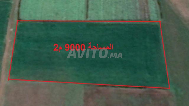 أراضي محفظة بسيدي رحال للسكن والاستثمار - 2