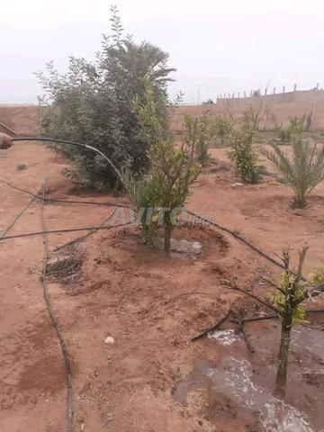 Terrain à vendre 1100 mètres