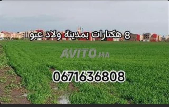 أرض فلاحية 8 هكتارات تمن 95 مليون قبل لنقاش