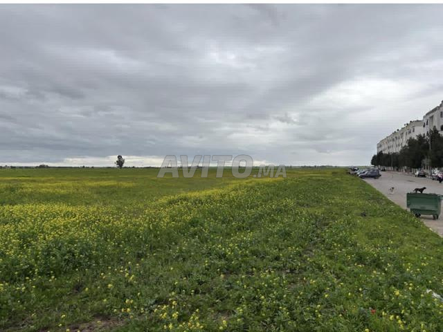 أرض موثقة ذات إمكانات قوية للمطورين