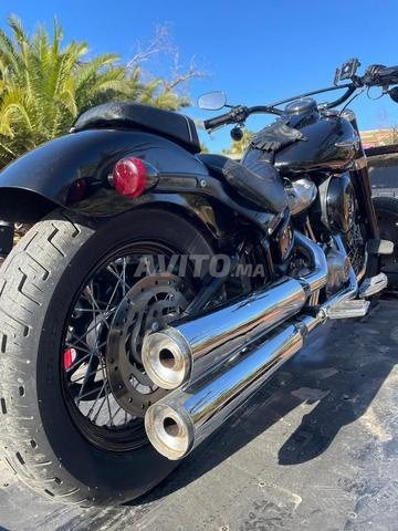 هارلي ديفيدسون سوفتيل سليم - موديل 2019