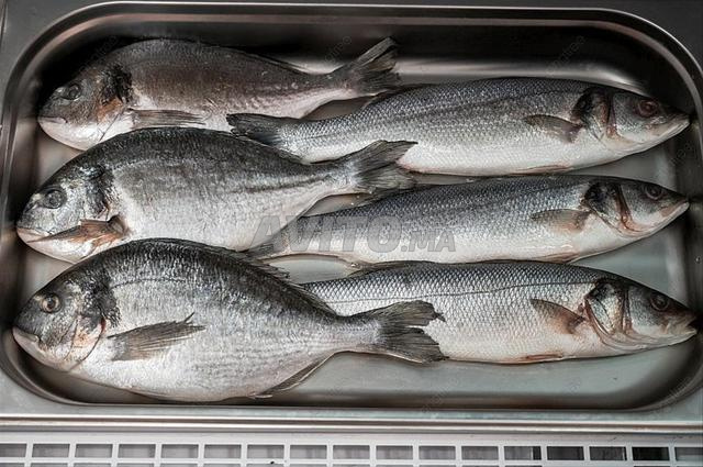 professionnel du nettoyage de poissons