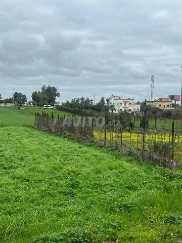 السلام عليكم، أعرض للبيع قطعة أرض مساحتها 470 متر مربع