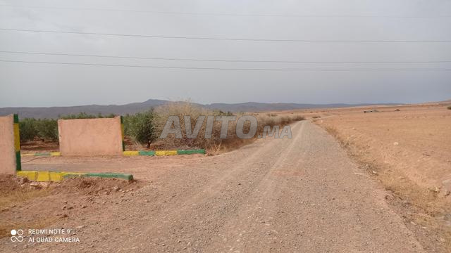 A vendre ferme contenant des oliviers - 2