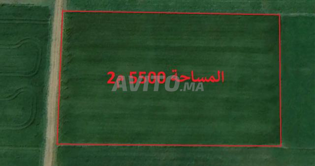 أراضٍ ومزارع في سيدي رحال للاستثمار - 2