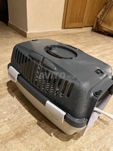 قفص للقطط جديد