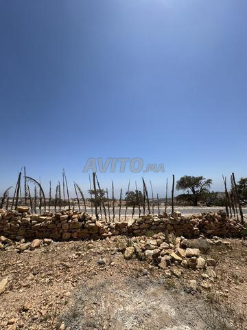 Terrain à vendre près de Taghazout