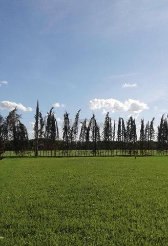 أرض للبيع أولاد صلاح على الطريق - 2