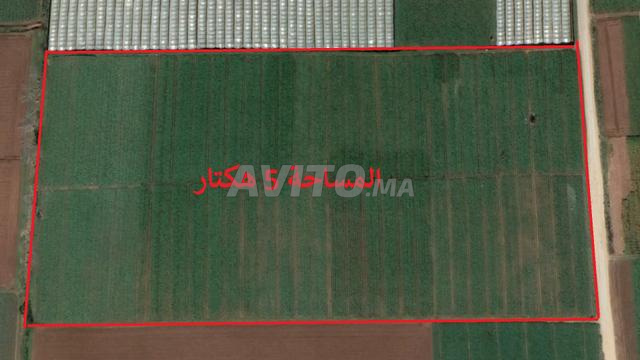 أراضي محفظة ببير جديد للسكن أو الاستثمار - 2