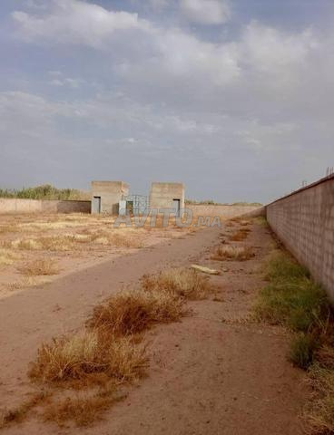 Terrain titré à vendre route de Ouarzazate